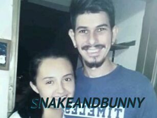 SNAKEANDBUNNY