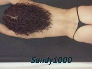 Sandy1000