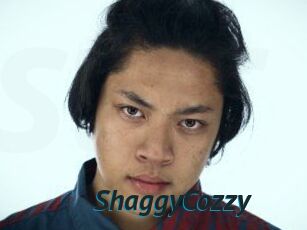 ShaggyCozzy