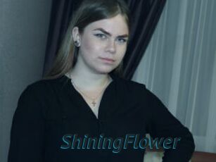 ShiningFlower