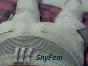 ShyFem