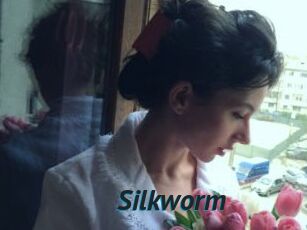 Silkworm