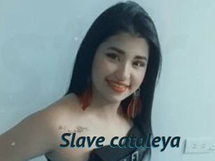 Slave_cataleya