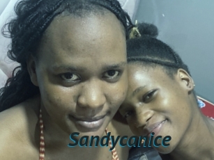 Sandycanice