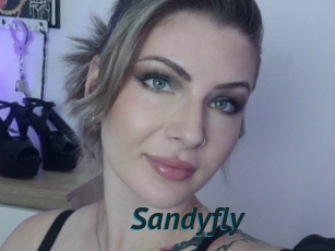 Sandyfly