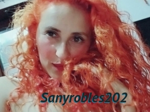 Sanyrobles202