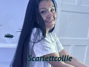 Scarlettcollie