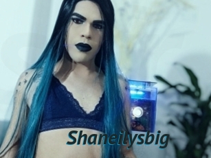 Shaneilysbig