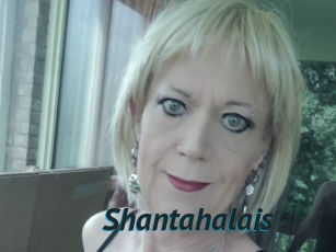 Shantahalais