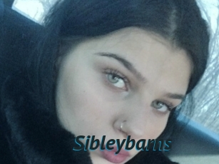 Sibleybarns