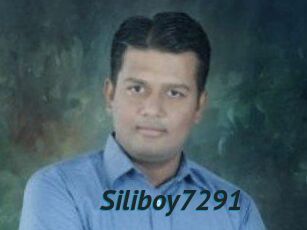 Siliboy7291