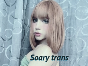 Soary_trans