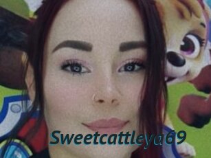 Sweetcattleya69