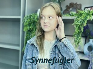 Synnefugler