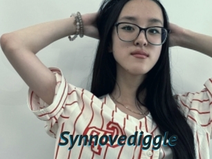 Synnovediggle