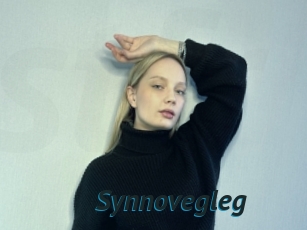 Synnovegleg