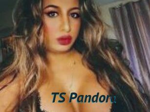 TS_Pandora