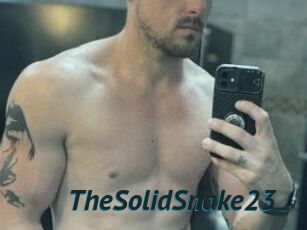 TheSolidSnake23