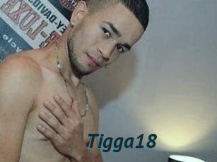 Tigga18