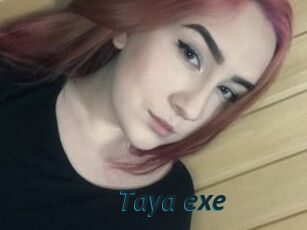 Taya_exe