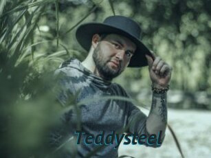 Teddysteel