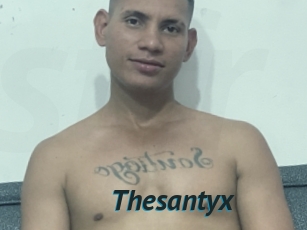 Thesantyx