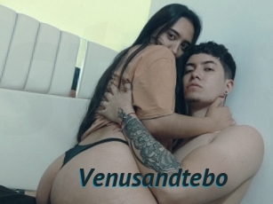 Venusandtebo