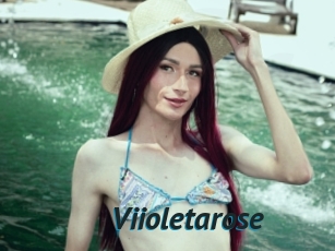 Viioletarose