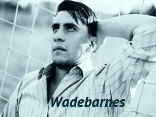 Wadebarnes