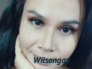 Wilsongay