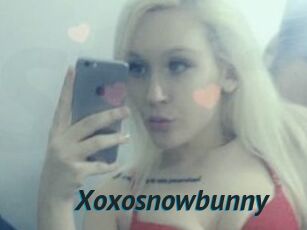 Xoxosnowbunny