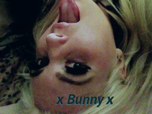 _x_Bunny_x_