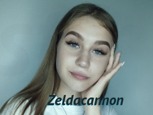 Zeldacannon